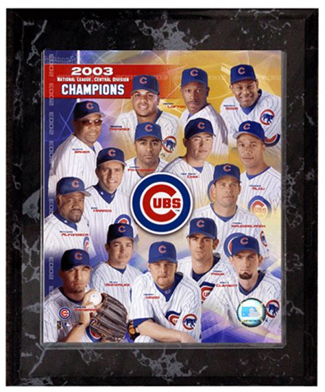 chicago cubs stats 2003 roster
